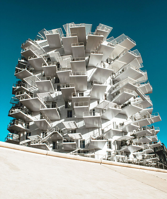 L'arbre blanc Montpellier